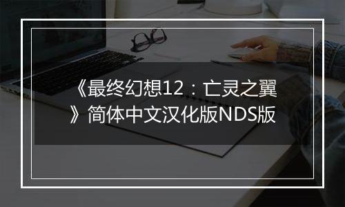 《最终幻想12：亡灵之翼》简体中文汉化版NDS版
