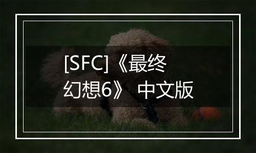 [SFC]《最终幻想6》 中文版