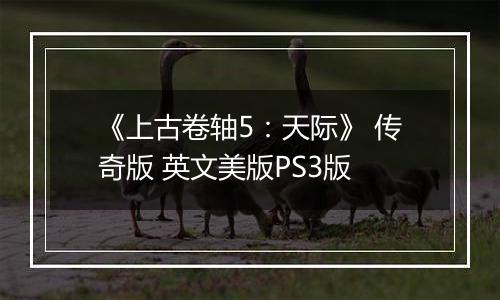 《上古卷轴5：天际》 传奇版 英文美版PS3版