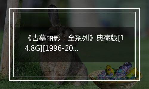 《古墓丽影：全系列》典藏版[14.8G][1996-2013]最新版