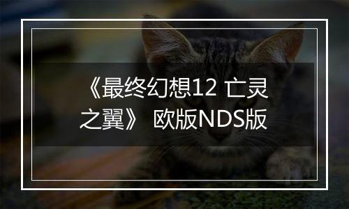 《最终幻想12 亡灵之翼》 欧版NDS版最新版