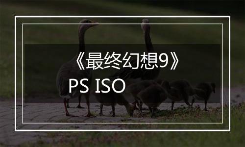 《最终幻想9》PS ISO
