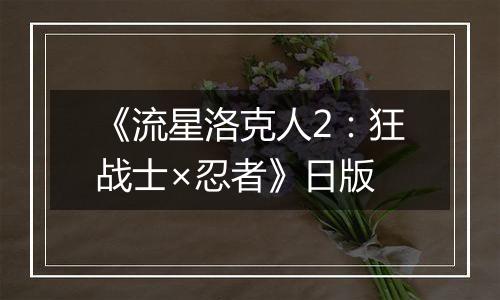 《流星洛克人2：狂战士×忍者》日版