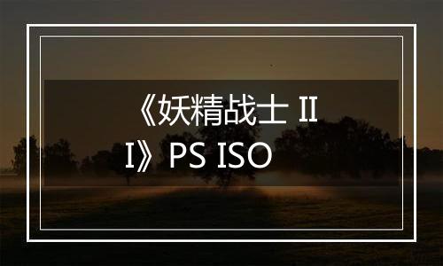 《妖精战士 III》PS ISO