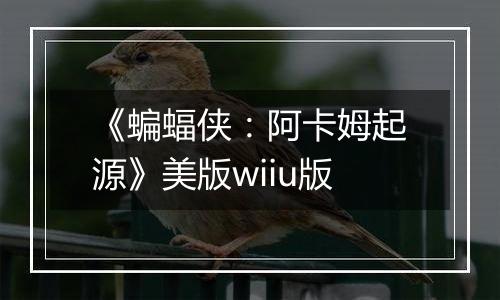 《蝙蝠侠：阿卡姆起源》美版wiiu版