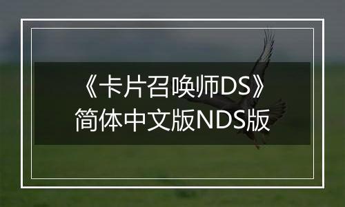 《卡片召唤师DS》简体中文版NDS版最新版