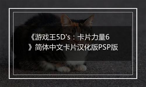 《游戏王5D's：卡片力量6》简体中文卡片汉化版PSP版最新版