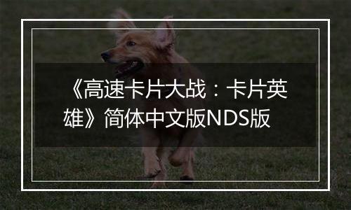 《高速卡片大战：卡片英雄》简体中文版NDS版最新版