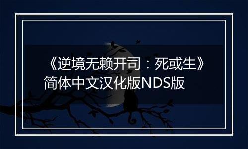 《逆境无赖开司：死或生》简体中文汉化版NDS版最新版