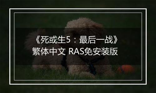 《死或生5：最后一战》 繁体中文 RAS免安装版
