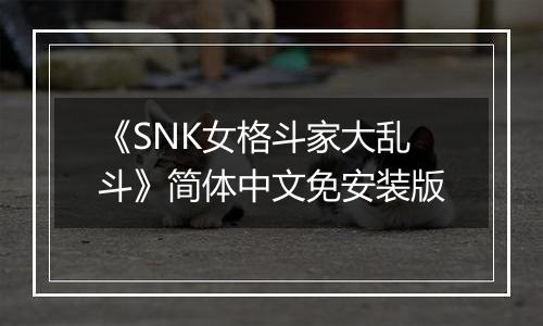 《SNK女格斗家大乱斗》简体中文免安装版最新版