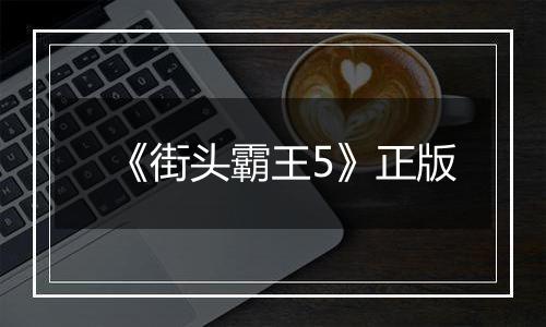 《街头霸王5》正版