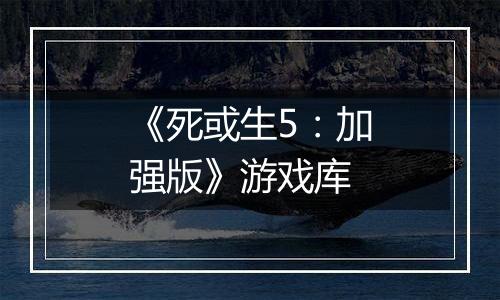 《死或生5：加强版》游戏库