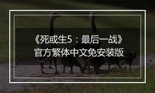 《死或生5：最后一战》 官方繁体中文免安装版