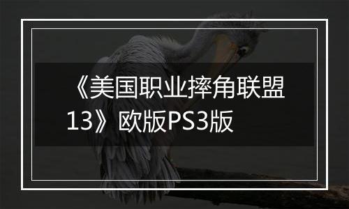 《美国职业摔角联盟13》欧版PS3版