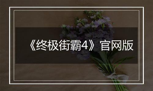 《终极街霸4》官网版