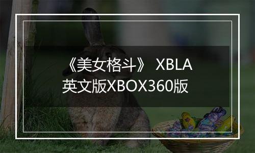 《美女格斗》 XBLA英文版XBOX360版最新版