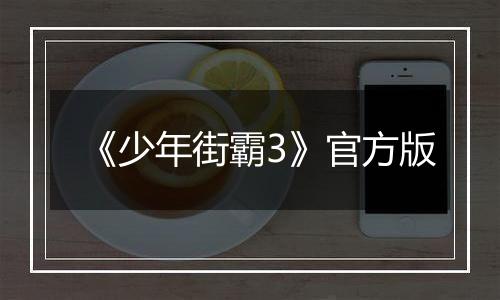 《少年街霸3》官方版