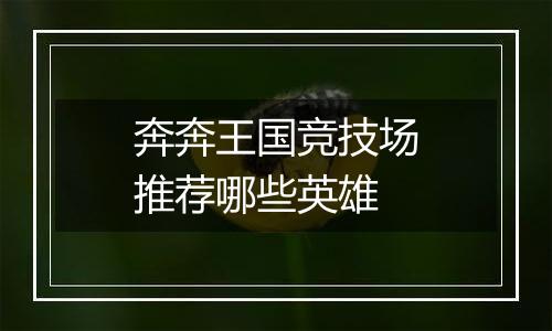 奔奔王国竞技场推荐哪些英雄