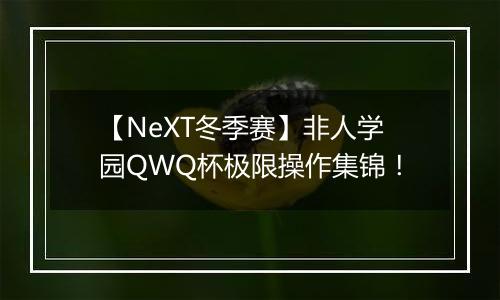 【NeXT冬季赛】非人学园QWQ杯极限操作集锦！