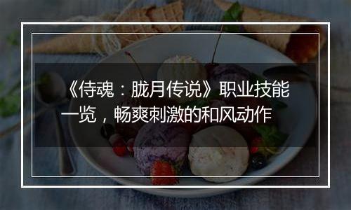 《侍魂：胧月传说》职业技能一览，畅爽刺激的和风动作