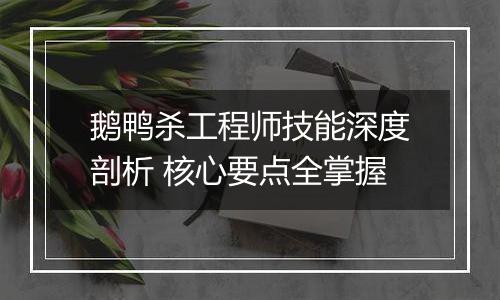 鹅鸭杀工程师技能深度剖析 核心要点全掌握