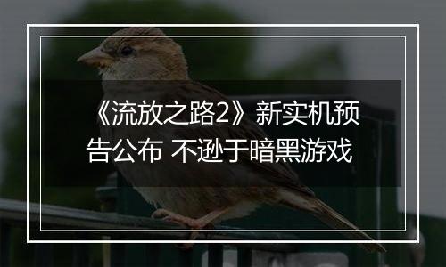 《流放之路2》新实机预告公布 不逊于暗黑游戏
