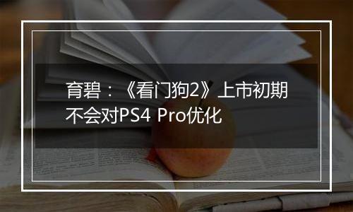 育碧：《看门狗2》上市初期不会对PS4 Pro优化