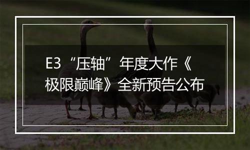 E3“压轴”年度大作《极限巅峰》全新预告公布