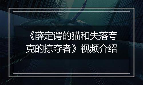 《薛定谔的猫和失落夸克的掠夺者》视频介绍
