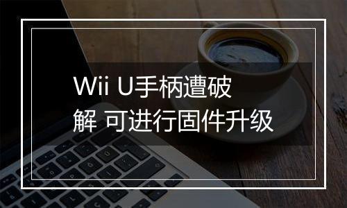 Wii U手柄遭破解 可进行固件升级