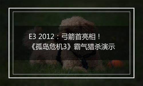 E3 2012：弓箭首亮相！《孤岛危机3》霸气猎杀演示