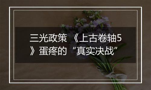 三光政策 《上古卷轴5》蛋疼的“真实决战”