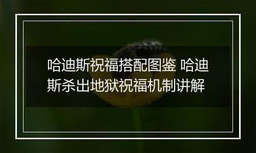 哈迪斯祝福搭配图鉴 哈迪斯杀出地狱祝福机制讲解