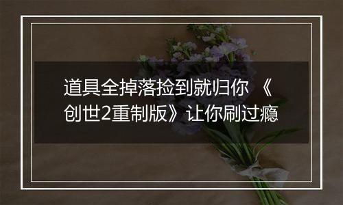 道具全掉落捡到就归你 《创世2重制版》让你刷过瘾