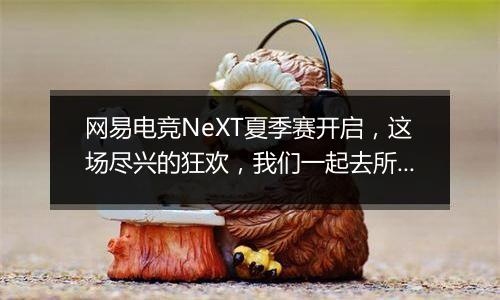 网易电竞NeXT夏季赛开启，这场尽兴的狂欢，我们一起去所向披靡！