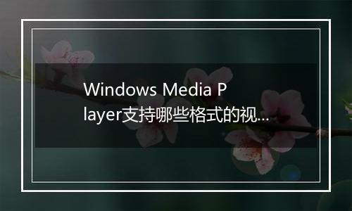 Windows Media Player支持哪些格式的视频？（详解）