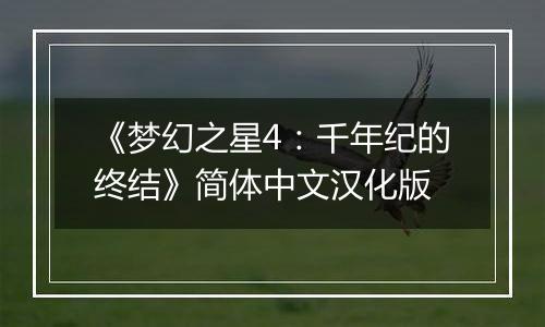 《梦幻之星4：千年纪的终结》简体中文汉化版