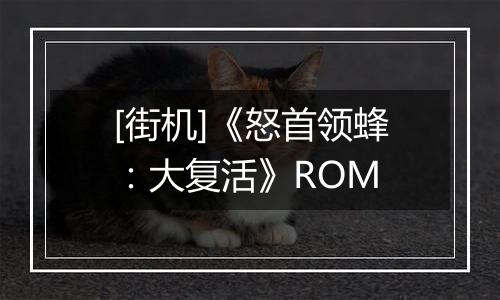 [街机]《怒首领蜂：大复活》ROM