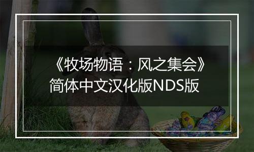 《牧场物语：风之集会》简体中文汉化版NDS版