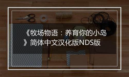 《牧场物语：养育你的小岛》简体中文汉化版NDS版