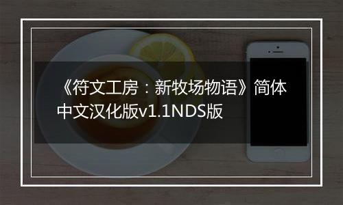 《符文工房：新牧场物语》简体中文汉化版v1.1NDS版