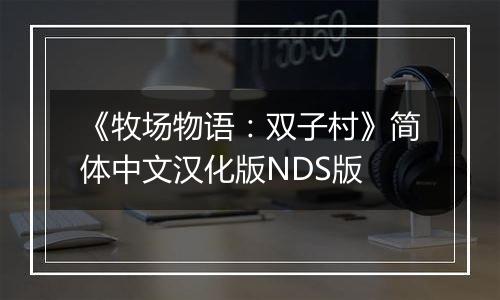 《牧场物语：双子村》简体中文汉化版NDS版