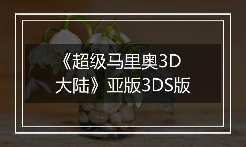《超级马里奥3D 大陆》亚版3DS版
