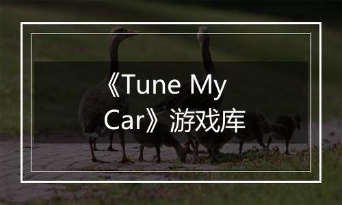 《Tune My Car》游戏库
