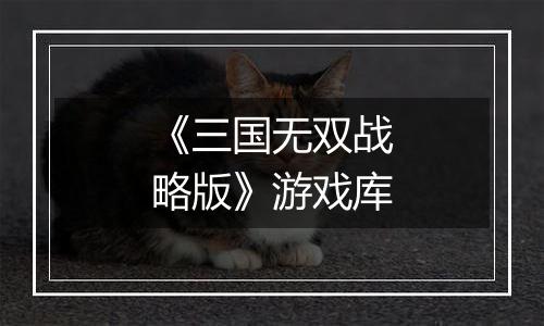 《三国无双战略版》游戏库