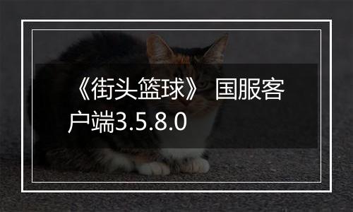 《街头篮球》 国服客户端3.5.8.0