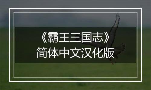 《霸王三国志》简体中文汉化版