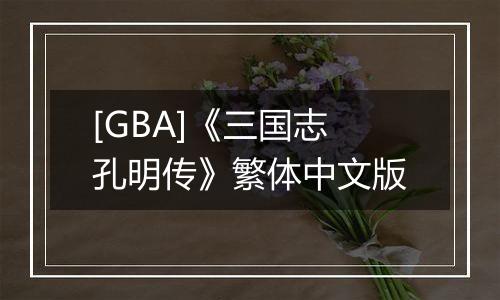 [GBA]《三国志孔明传》繁体中文版