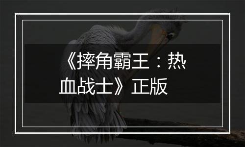 《摔角霸王：热血战士》正版